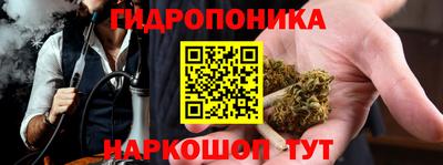 apvp Обнинск