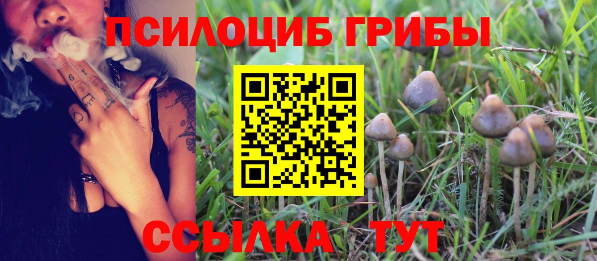 Псилоцибиновые грибы мицелий Северодвинск