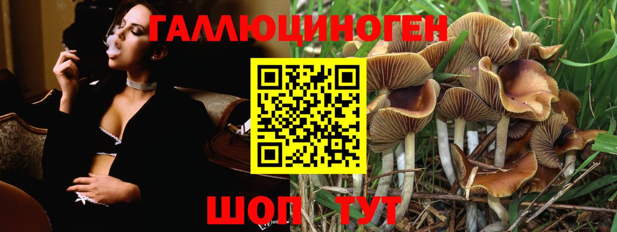 Псилоцибиновые грибы Magic Shrooms  Псилоцибиновые грибы прущие грибы  Вход с VPN  Северодвинск 